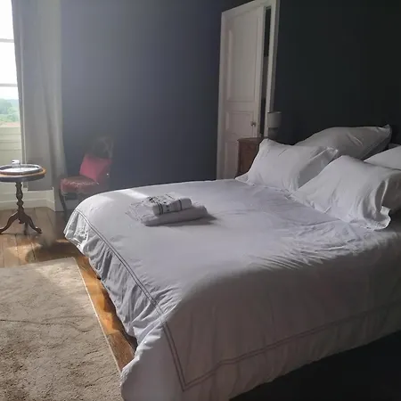 Chateau Le Puybelliard Bed & Breakfast