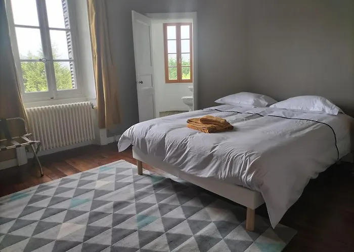 Chateau Le Puybelliard Chantonnay